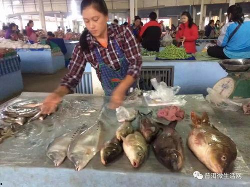 免费吃瓜叫卖视频,视频直播带你一探究竟  第3张