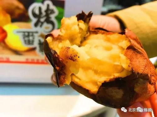 太原金虎最新爆料,揭秘金虎集团全新战略布局与市场动向  第1张